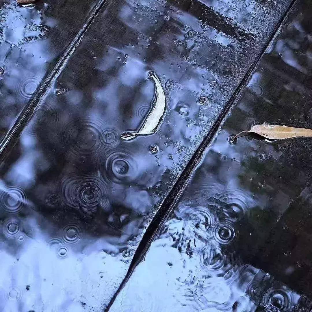 人生最大的奢侈是清闲,闲适是个优雅的句子