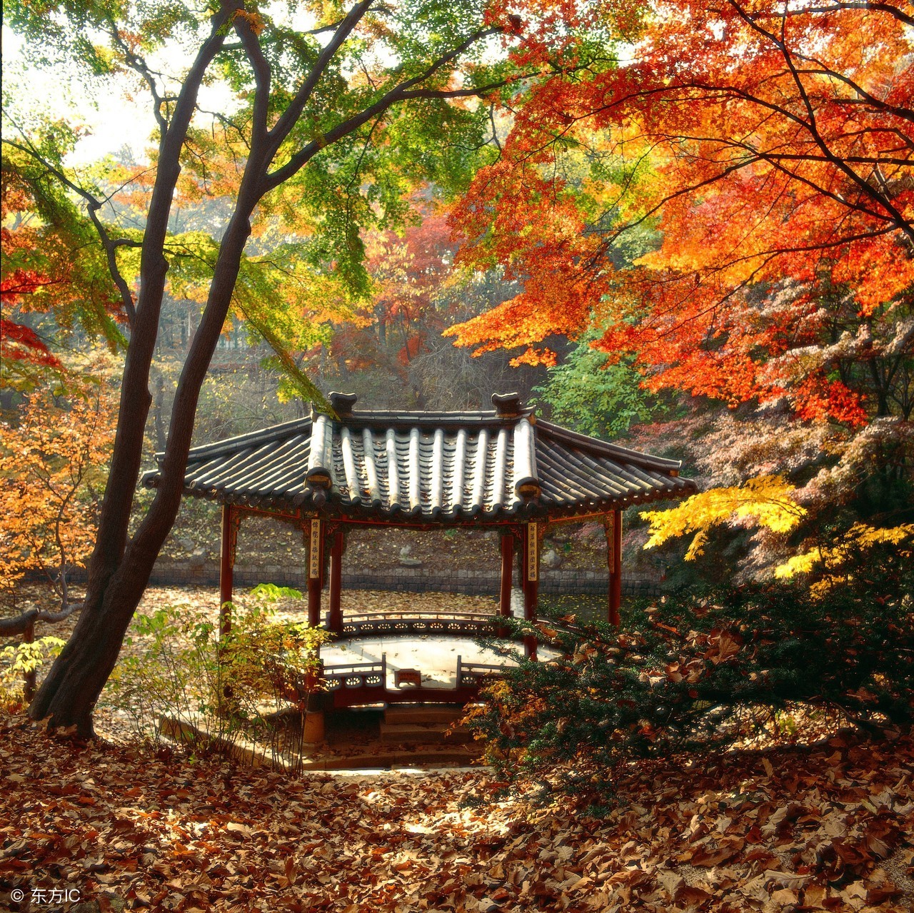 中国八大文学经典,中国八大诗