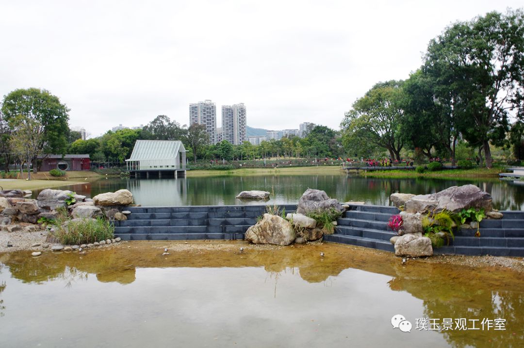 2019年香蜜湖公园,最新香蜜公园视频