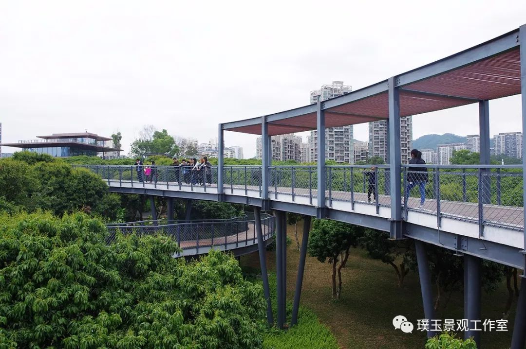 深圳香蜜公园航拍视频,香蜜湖香蜜公园