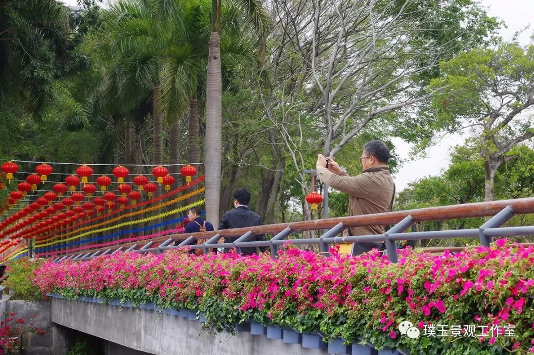 2019年香蜜湖公园,最新香蜜公园视频