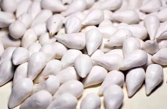 四川汤圆酥麻馅,汤圆甜咸