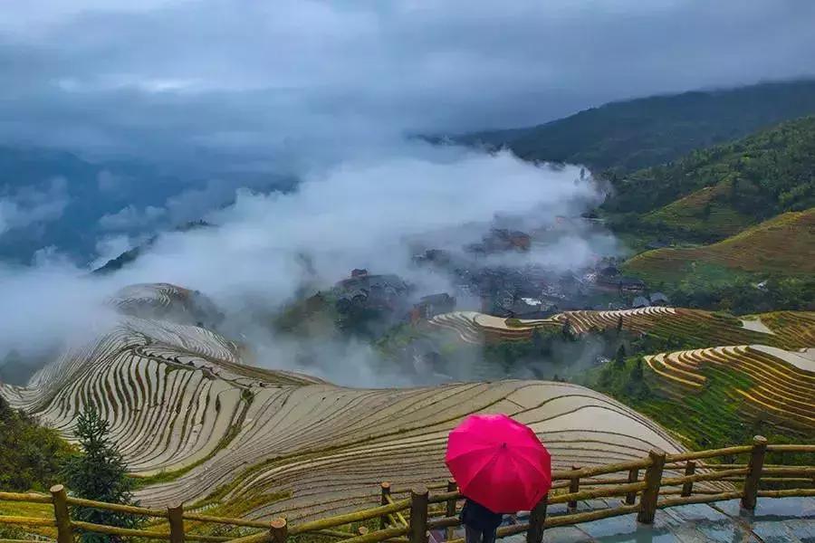 龙脊红瑶寨门票,桂林龙脊梯田门票优惠政策最新