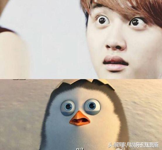 都暻秀和企鹅,都暻秀企鹅好可爱