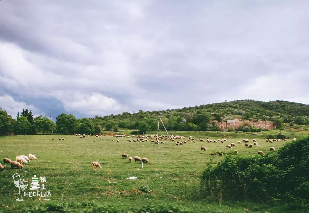 藏在山谷间的红酒小镇,藏在山谷的红酒小镇
