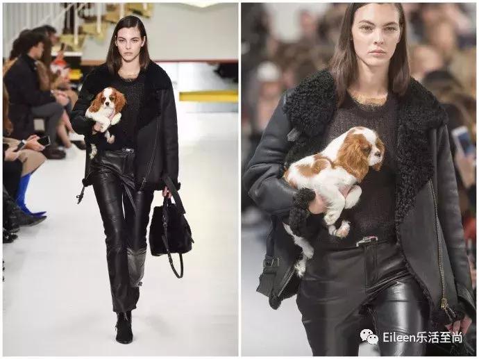 刘雯王俊凯照片 (王俊凯和刘雯)