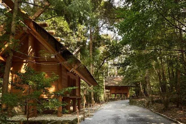 让人痴狂的伤感歌,让人痴狂诗句