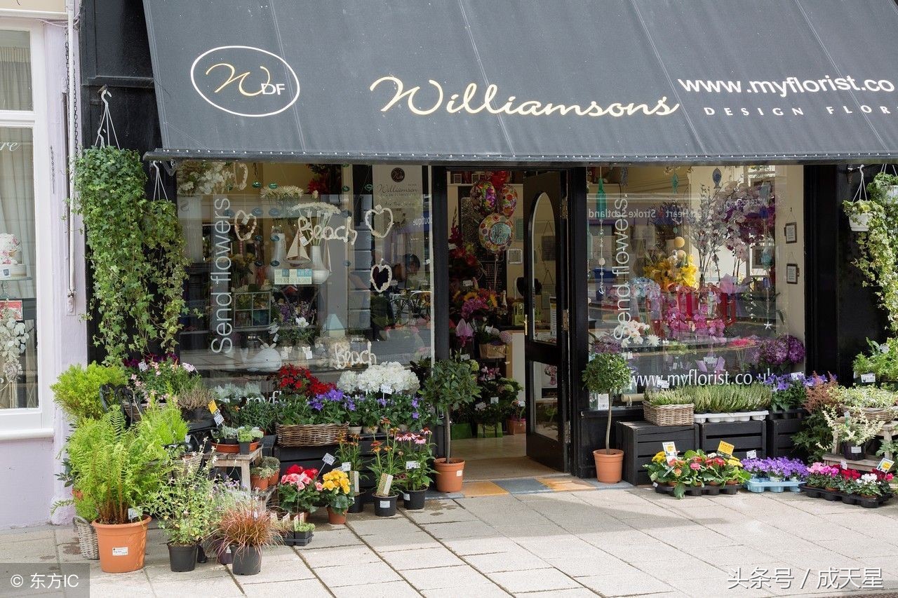 鲜花店怎样经营才赚钱,鲜花店主要靠什么挣钱