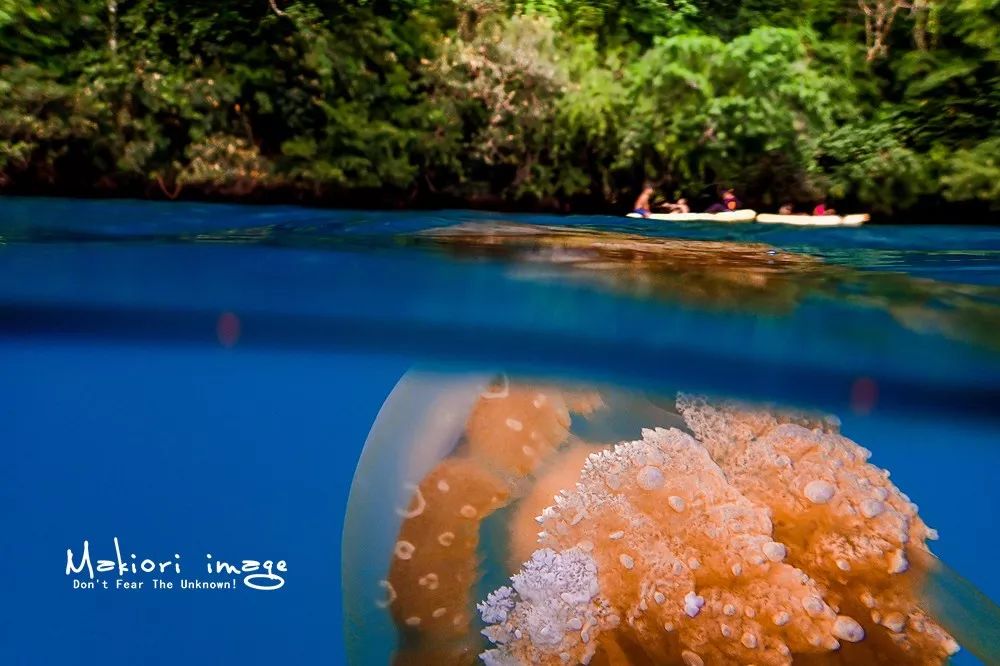 28岁前该去的9个旅游地,必去的30个旅行地