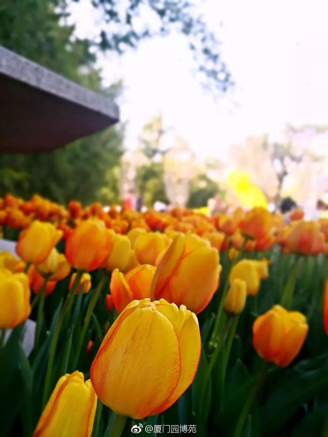 厦门大降温最新消息,厦门升温时间表