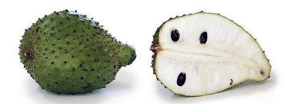 帕劳攻略详细讲解,帕劳旅游攻略