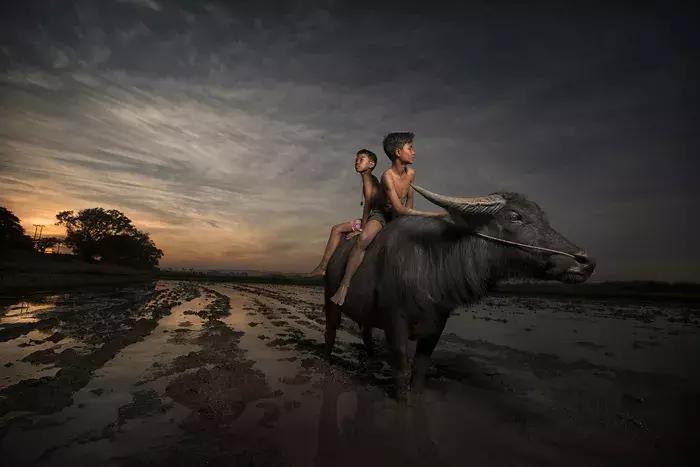 2018年全球华人摄影十杰,中国第18届国际摄影展入围作品