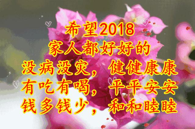 11月4,有群的都看看,太美了,这一辈子见一次值了!