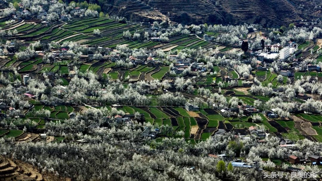 我们的家美在哪,我们的家在中国