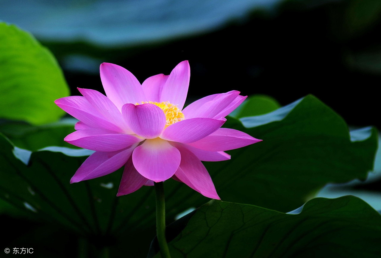 我手淫后现实的残酷教训！