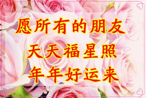 11月4,有群的都看看,太美了,这一辈子见一次值了!