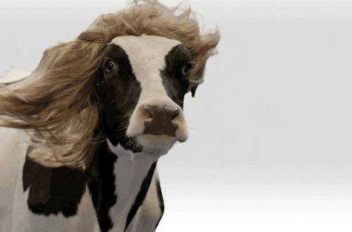 麦瑟尔夫人穿搭风格,了不起的麦瑟尔夫人怎么看