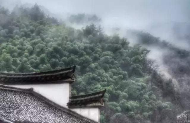 二十四节气惊蛰是哪一天,二十四节气惊蛰怎么画