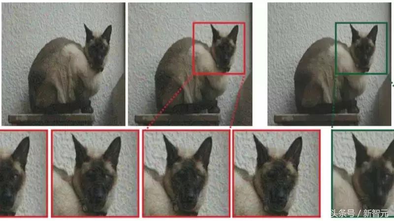 绁炵粡缃戠粶浼氬嚭閿欏悧,绁炵粡浜轰細姊﹀埌鐢靛瓙缇婂悧