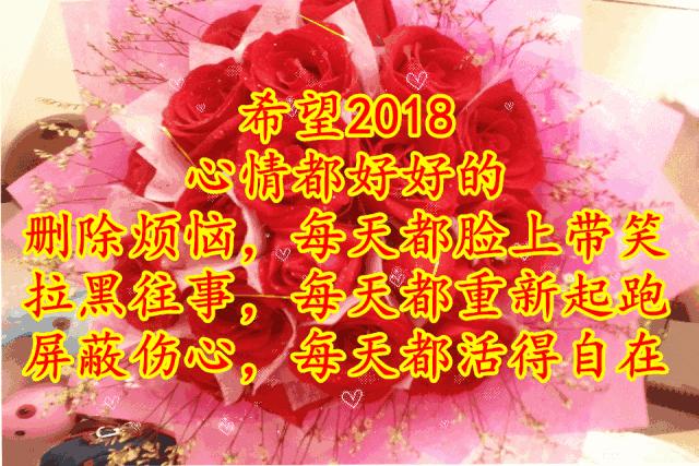 11月4,有群的都看看,太美了,这一辈子见一次值了!