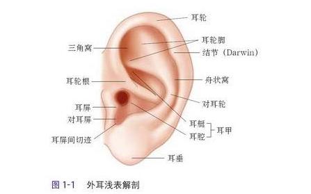 国际爱耳日怎么保护耳朵,全国爱耳日避免耳聋发生