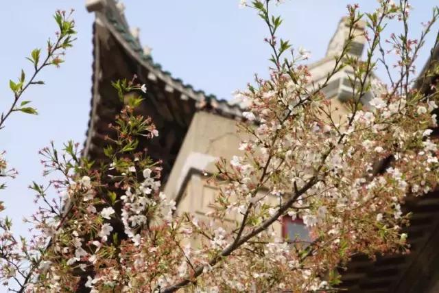 1月深圳飞哪里机票便宜,深圳飞国际机票低至300元起