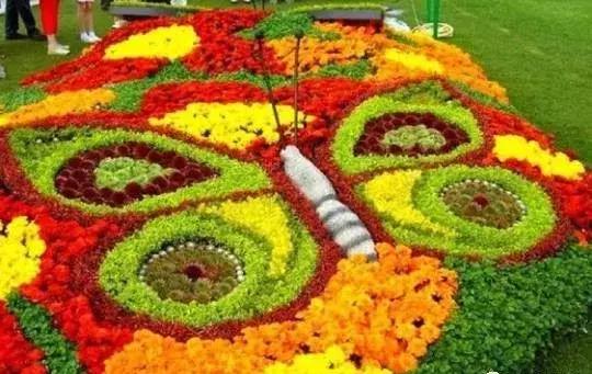 刚出的群主相册,有群的都看看,太美了,这一辈子见一次值了!