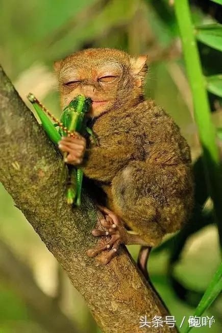 这10大东南亚“免签”仙境，月薪5K轻松走起，光看图已醉！