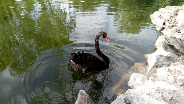 乐2手机的优点与缺点,乐2手机游戏测评