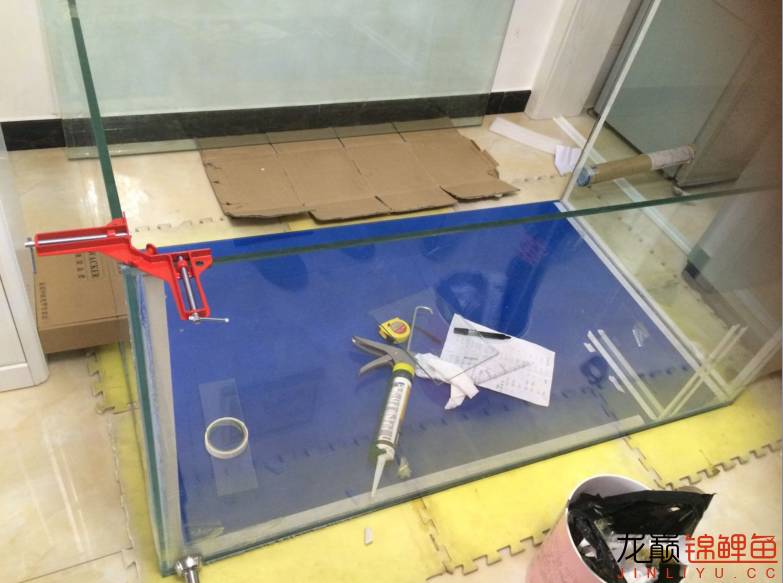 粘锦鲤地缸教程,鱼友锦鲤地缸