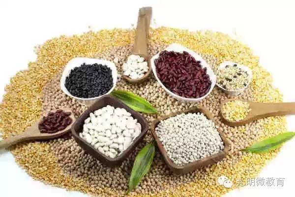 中医经典阅读优秀文章展——《黄帝内经》学习心得