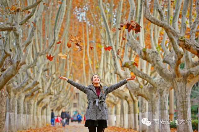 交大，我咋不喜欢你了！