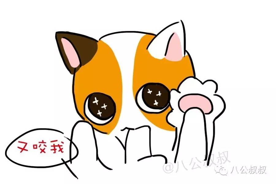 猫咪知识科普猫咪的应激反应,猫咪知识大解答