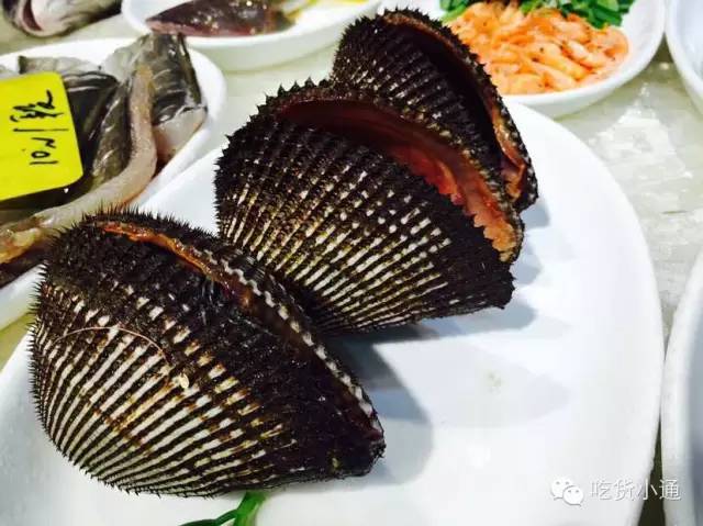 宁波镇海十大必吃馆子,宁波本地人吃的馆子