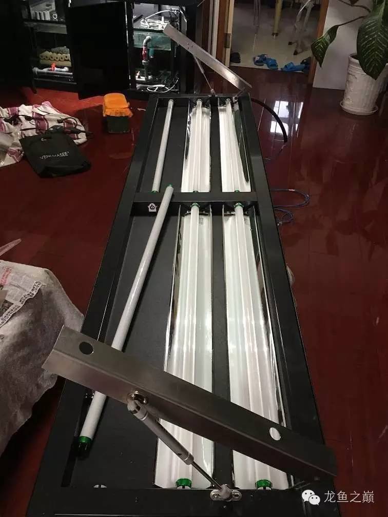 超级白，超会做，这才叫养鱼！