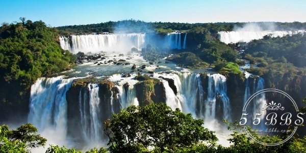 这个夏天我要去里约给内马尔生猴子