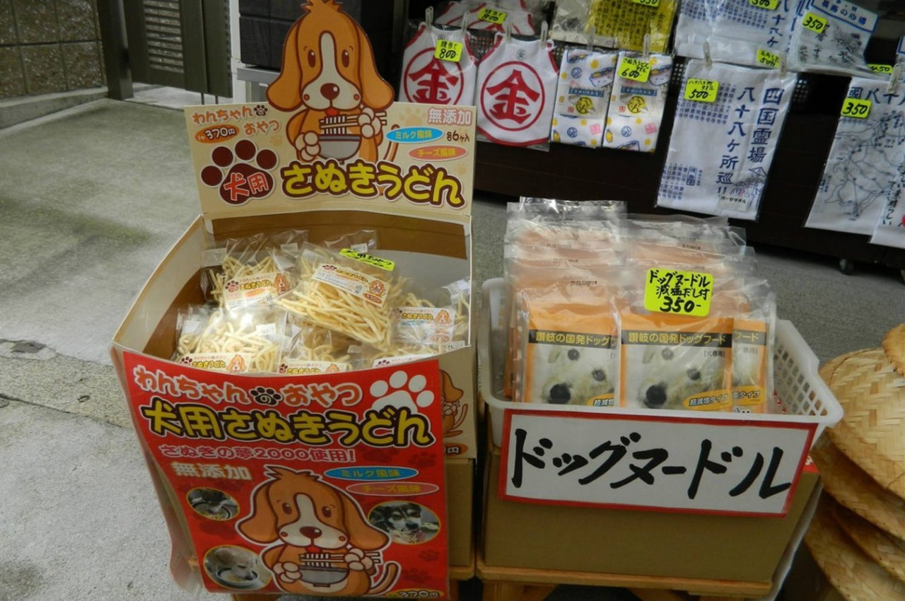 百万级帖主的“再度进击”|西日本，你不该错过这些