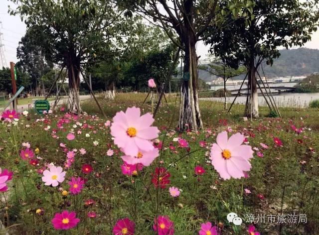 杭州西溪生态公园,西溪郊野公园好玩吗