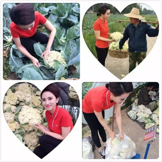 直播信阳大事件:40分钟销售两万斤!帮女郎~棒棒哒!