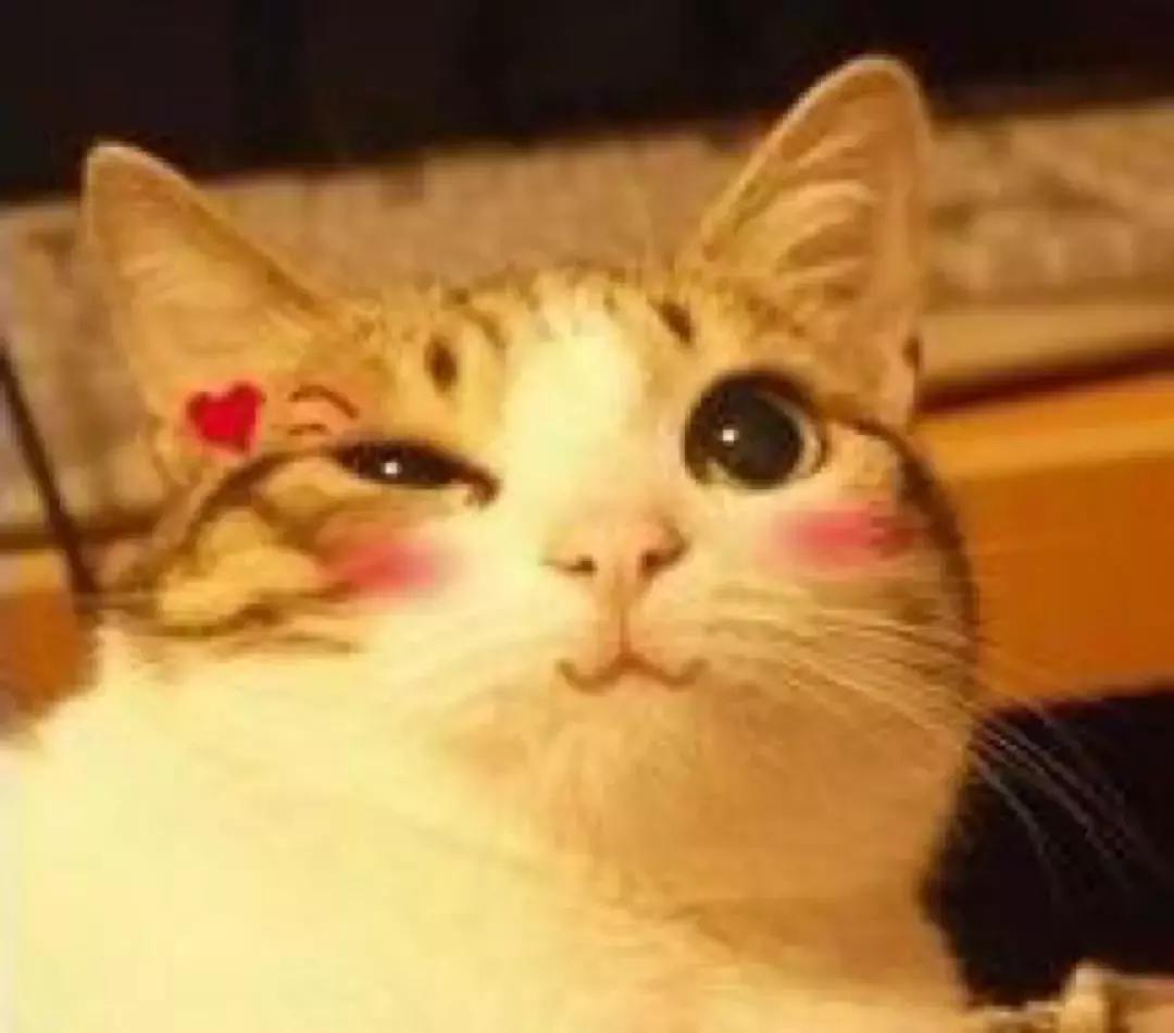 重庆方言考四级,重庆方言六级测试