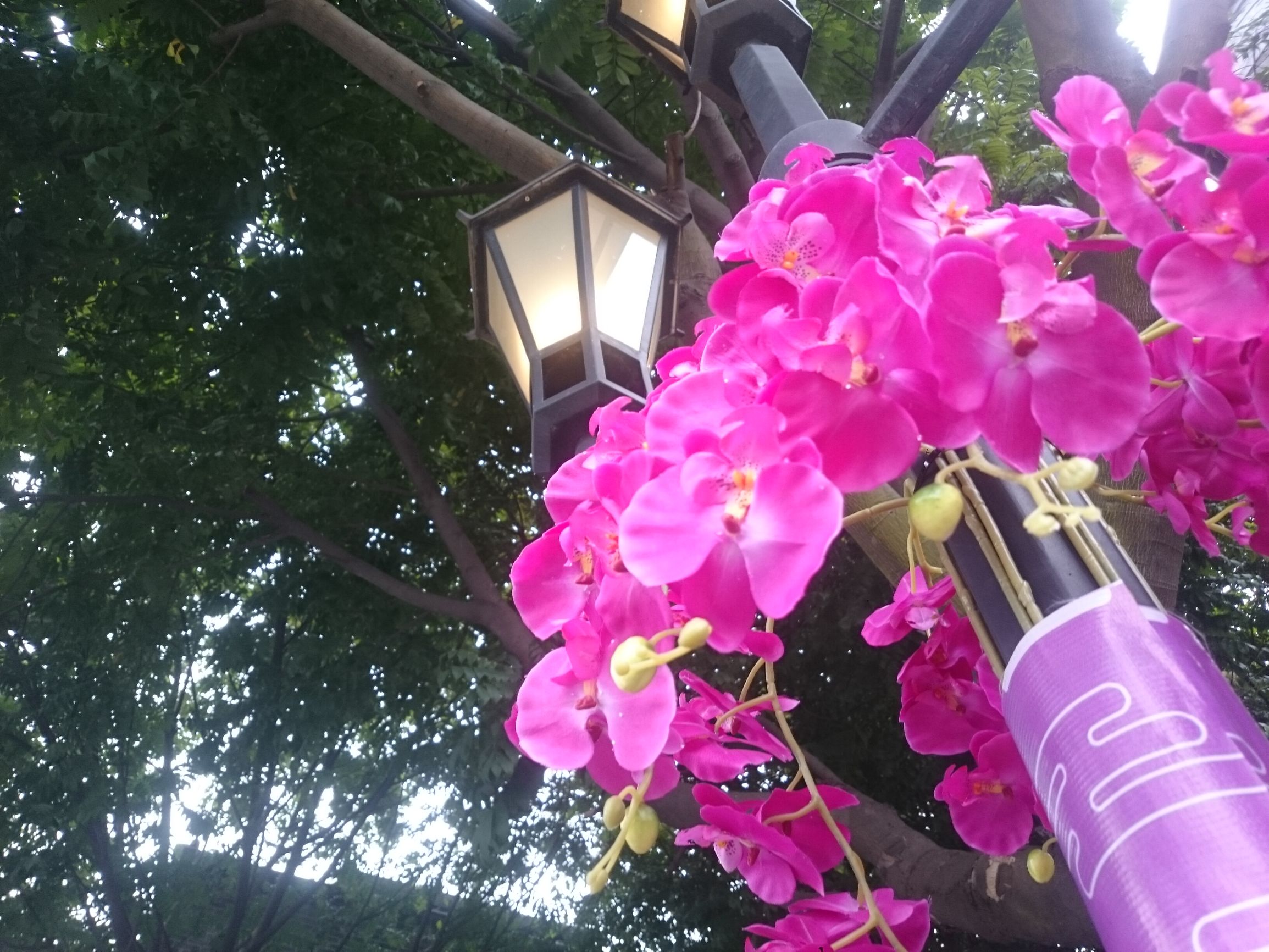 索尼xperiaz1i,索尼xperiaz1最新消息