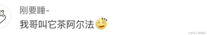 笑喷的各种口误段子,那些因为口误闹出的笑话运动员