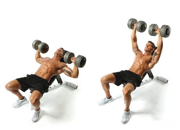 4个哑铃动作满足居家练臀需求,4个哑铃锻炼方法打造厚实大肩膀