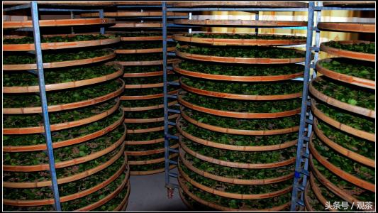 炒青绿茶和烘青绿茶泡出来的区别,杀青炒青和烘青的区别