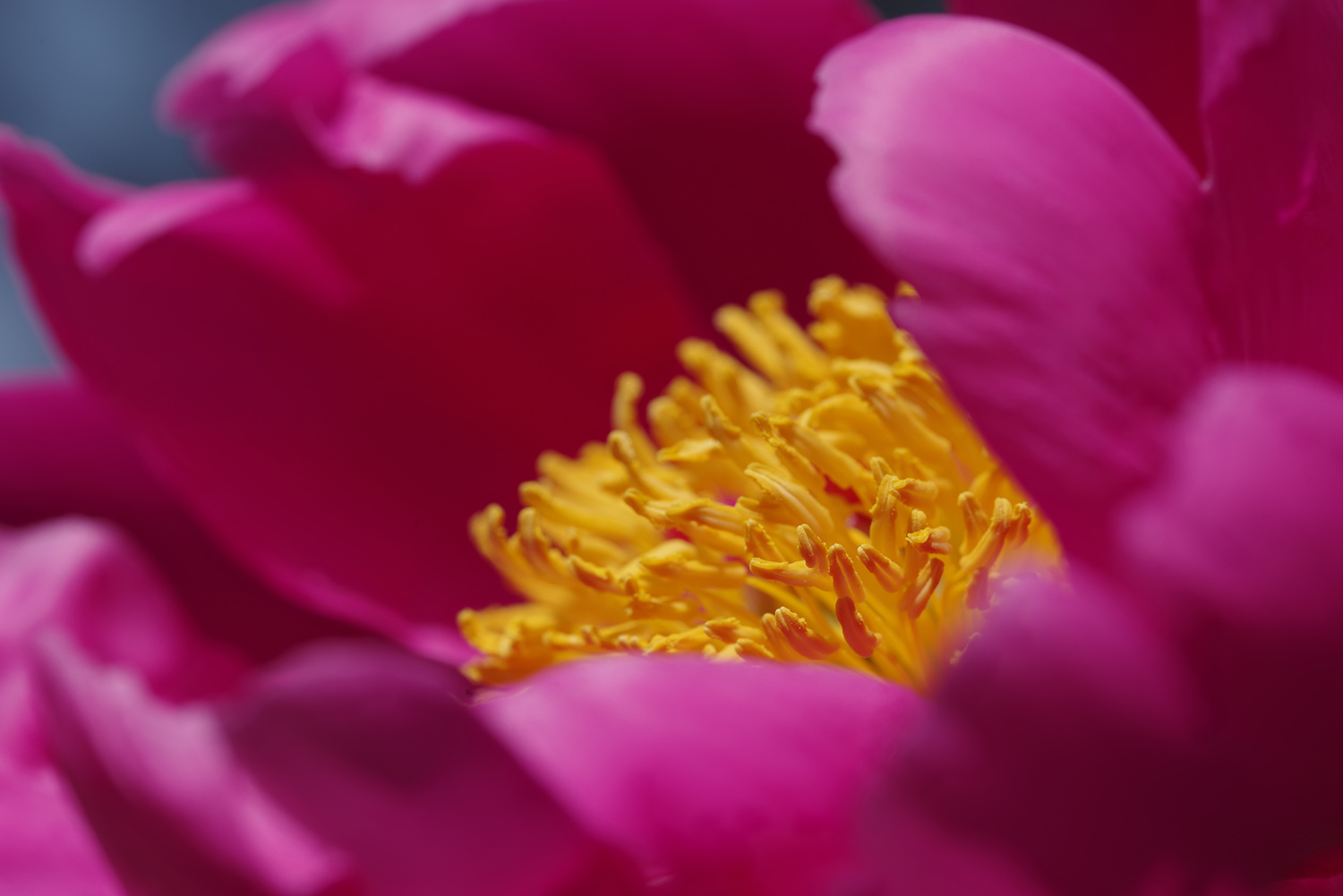 宾得k-01是全画幅吗,宾得全画幅镜头100-3000