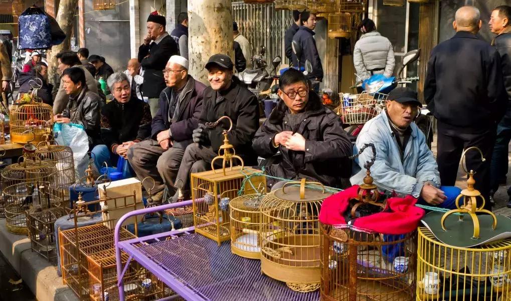 揭秘丨西安为什么在抖音上那么火？大半个朋友圈都被刷屏！