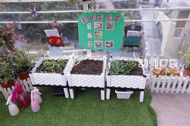 幼儿园春天植物角摆台,幼儿园植物角创意布置图片大全集