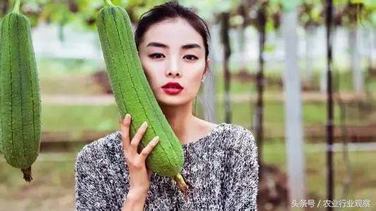 农产品直播技巧和策略,直播卖农产品实用的5个技巧