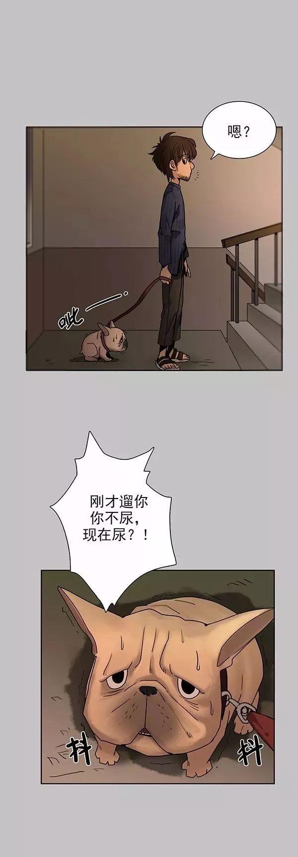 猫和铲屎官的日常生活漫画,铲屎官的搞笑漫画