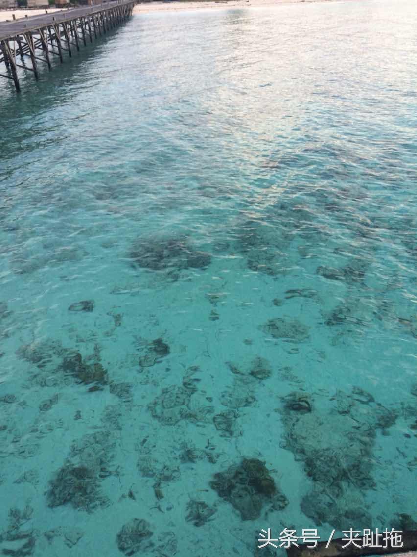 马来西亚仙本那岛最佳旅游时间,马来西亚的沙巴岛特色